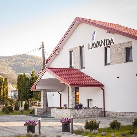 Pensiunea Lavanda, Piatra-Neamt Πιάτρα Νέαμτς Εξωτερικό φωτογραφία