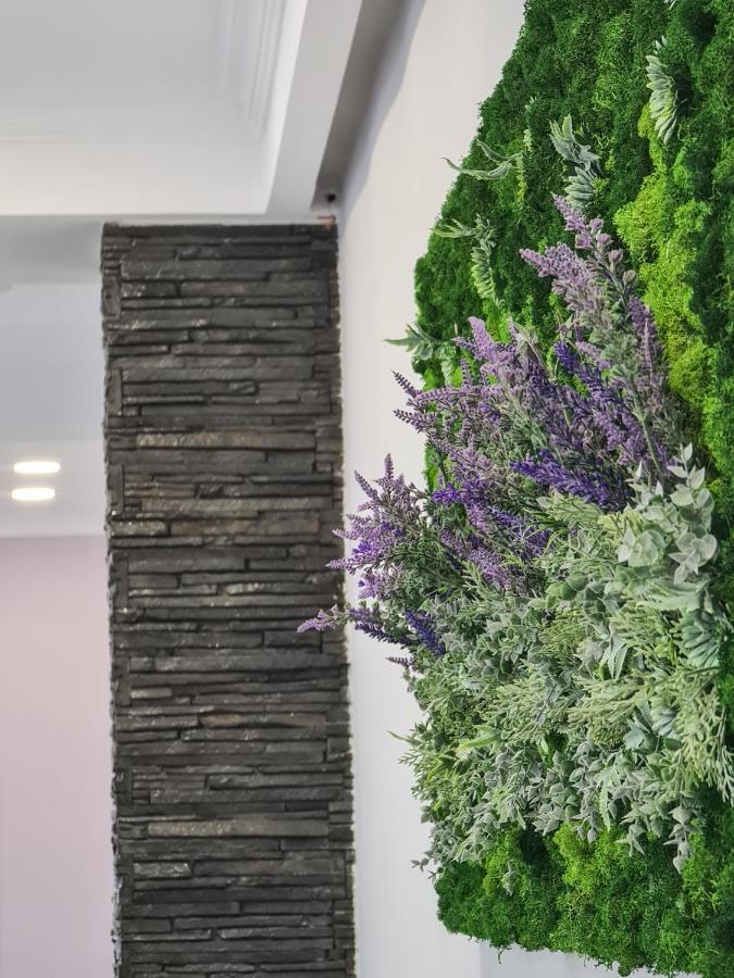 Pensiunea Lavanda, Piatra-Neamt Πιάτρα Νέαμτς Εξωτερικό φωτογραφία
