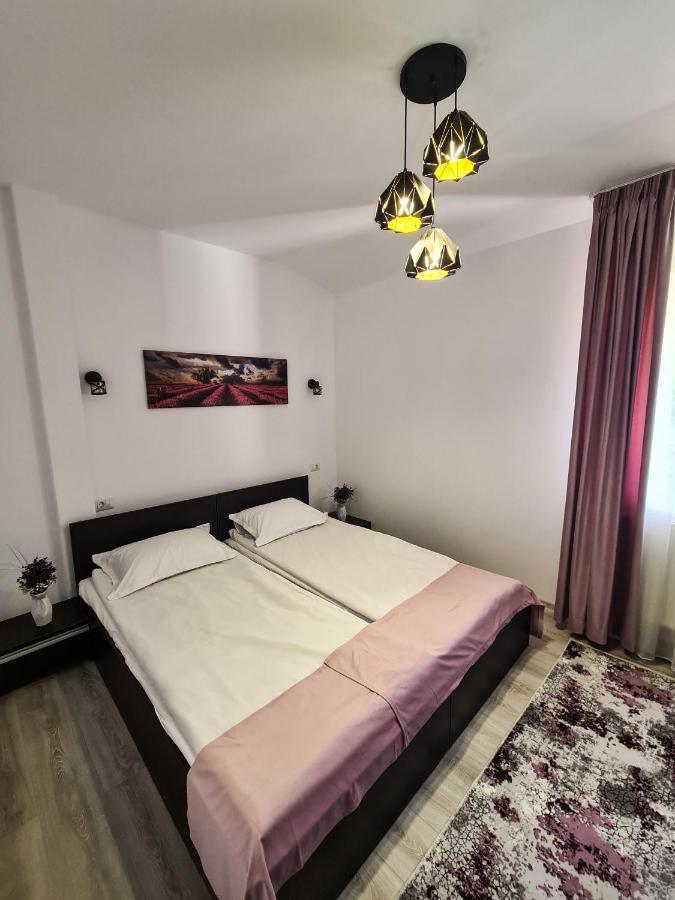 Pensiunea Lavanda, Piatra-Neamt Πιάτρα Νέαμτς Εξωτερικό φωτογραφία