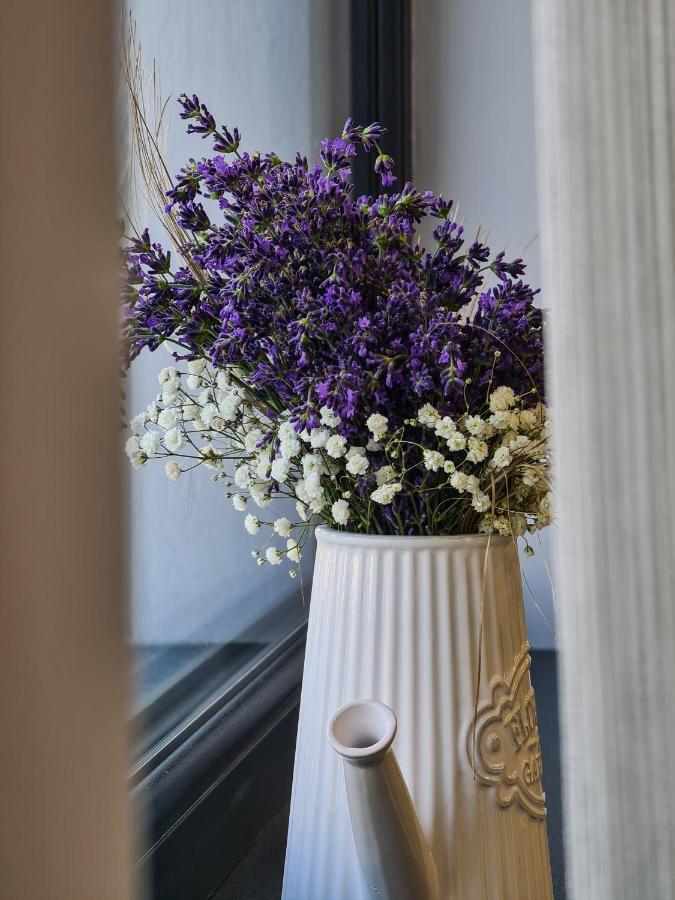 Pensiunea Lavanda, Piatra-Neamt Πιάτρα Νέαμτς Εξωτερικό φωτογραφία