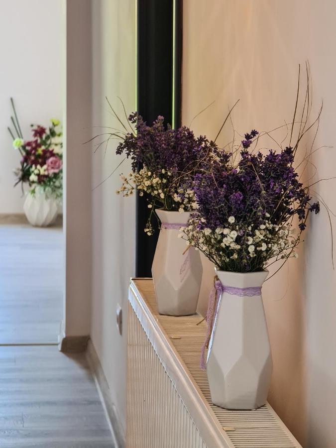 Pensiunea Lavanda, Piatra-Neamt Πιάτρα Νέαμτς Εξωτερικό φωτογραφία