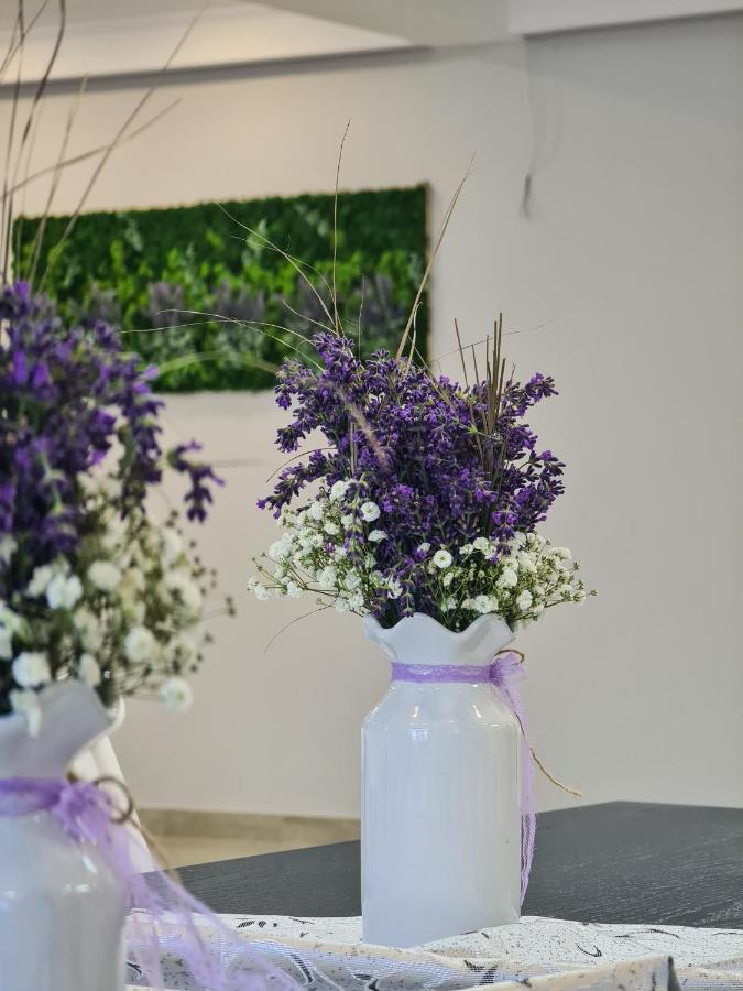 Pensiunea Lavanda, Piatra-Neamt Πιάτρα Νέαμτς Εξωτερικό φωτογραφία