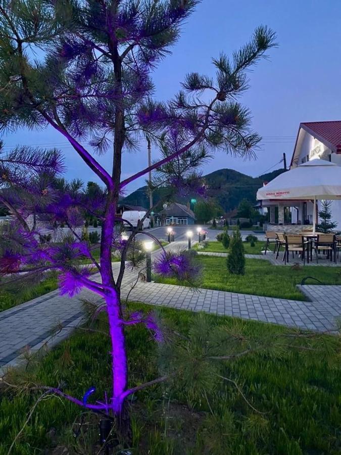 Pensiunea Lavanda, Piatra-Neamt Πιάτρα Νέαμτς Εξωτερικό φωτογραφία